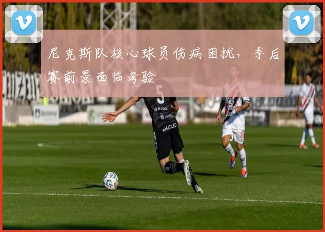 尼克斯队核心球员伤病困扰，季后赛前景面临考验